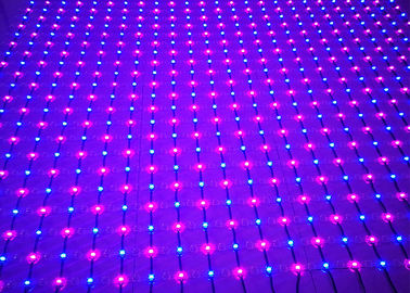 Setaccio a maglie dell'interno del PVC LED di alta luminosità delle luci leggiadramente della maglia della rete di colore pieno LED